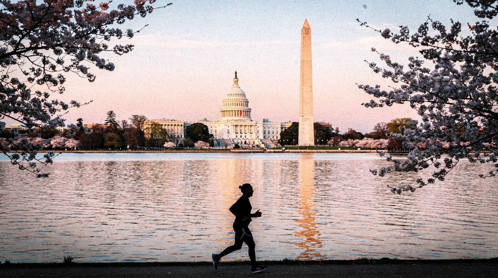 A First-Timer's Mistakes in Washington, D.C.