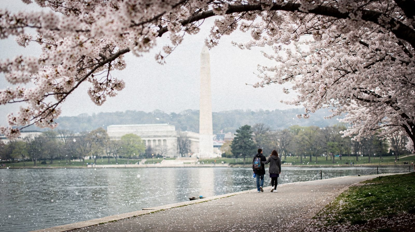 Cherry Blossom Season Tours