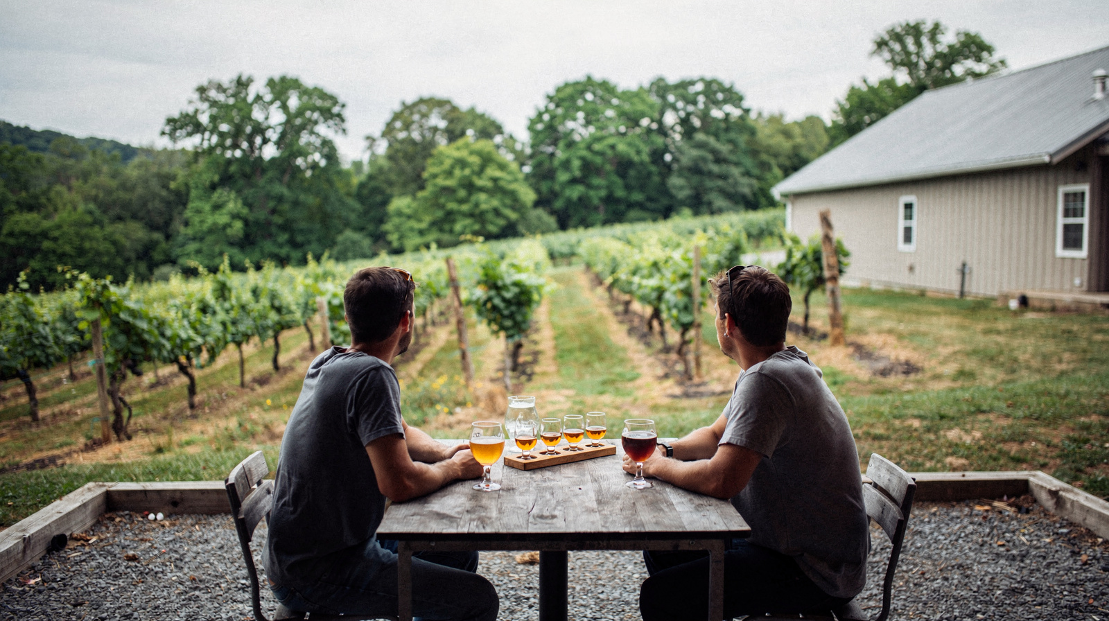 Virginia Wine and Brewery Tours