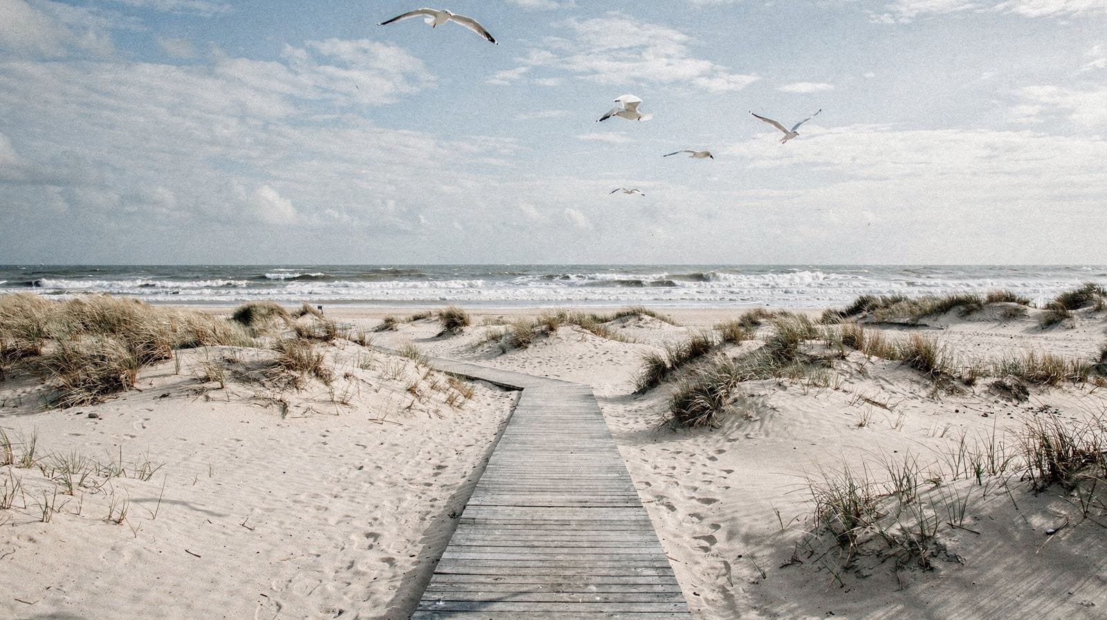 Atlantic Coast: Norfolk's Naval Harbor and Ocean City's Wild Shores