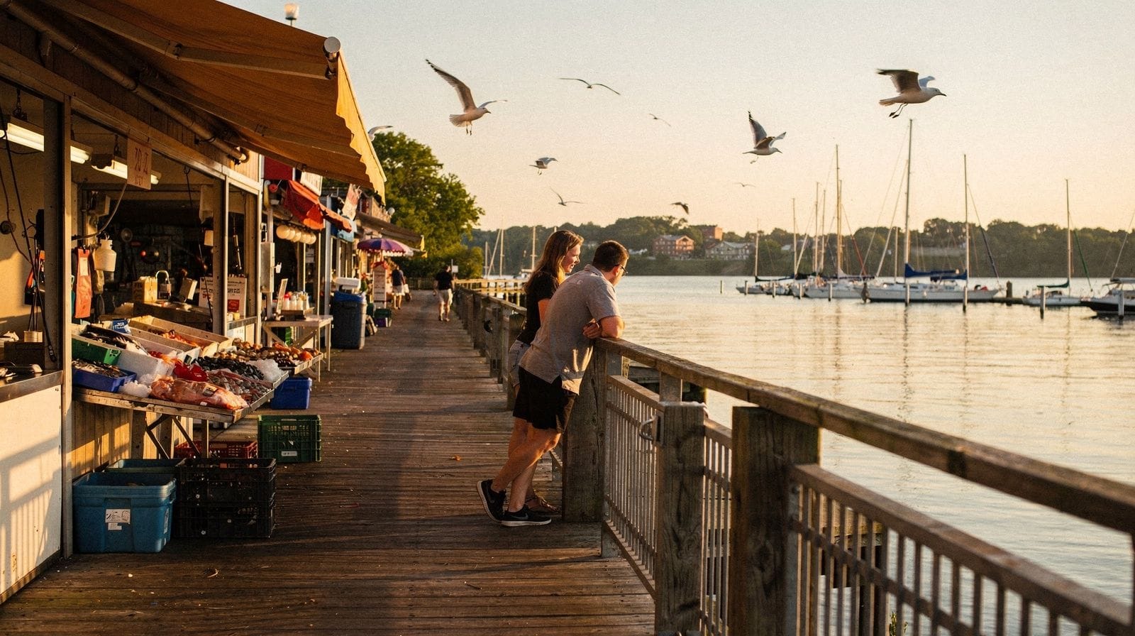 Potomac Waterfront & The Wharf