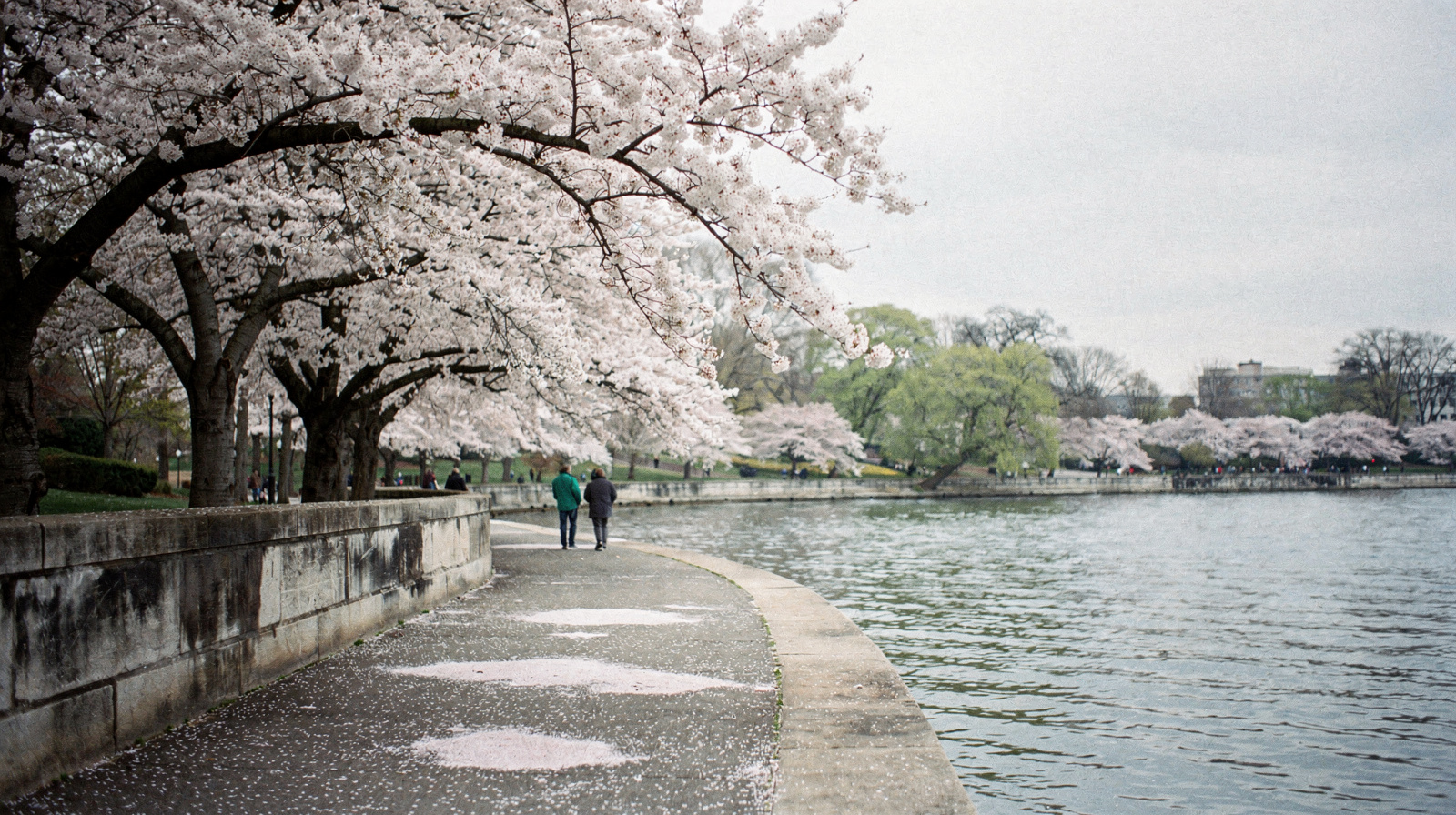 Best Time to Visit Washington, D.C.