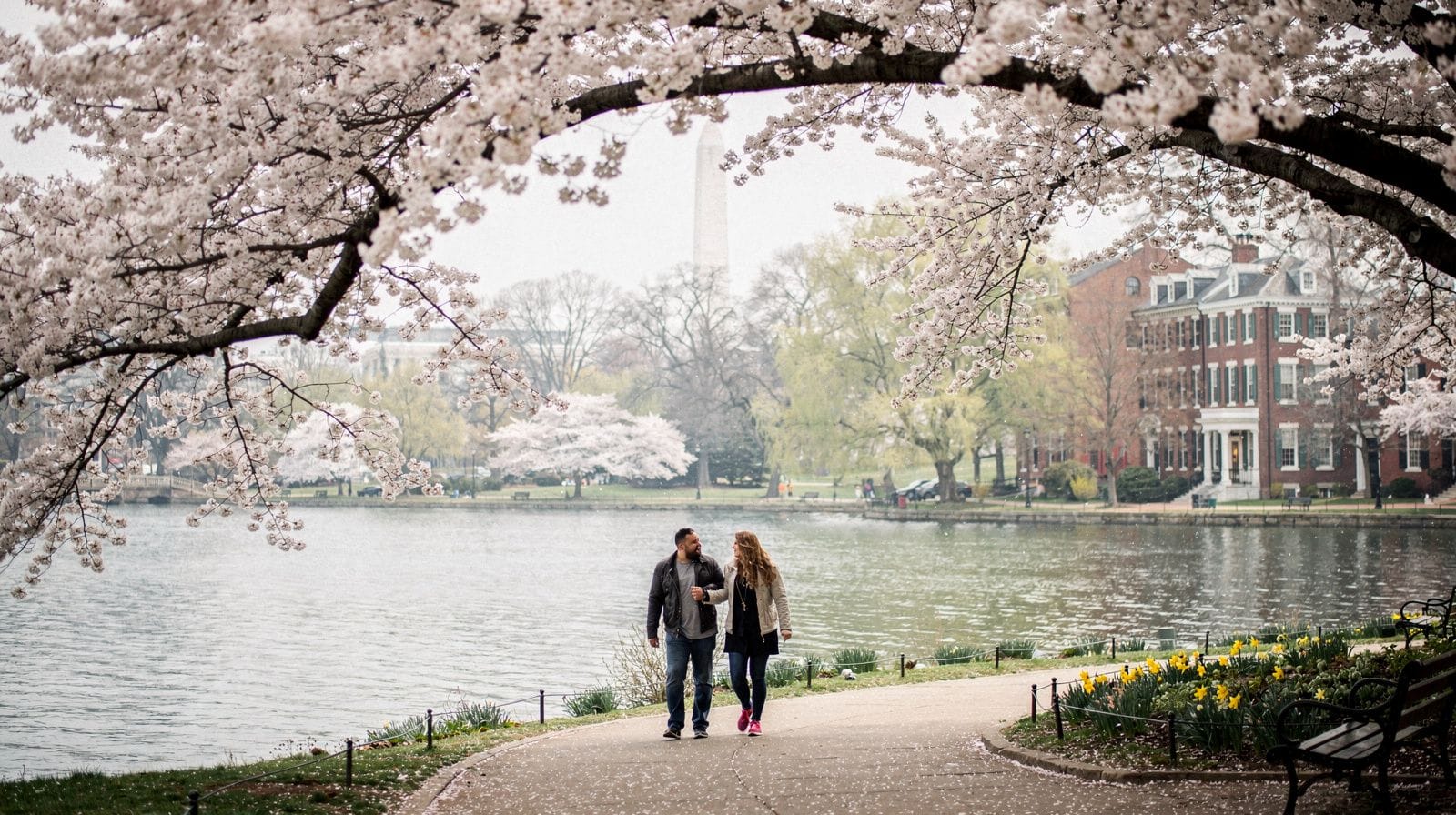 National Cherry Blossom Festival: The Tidal Basin Guide