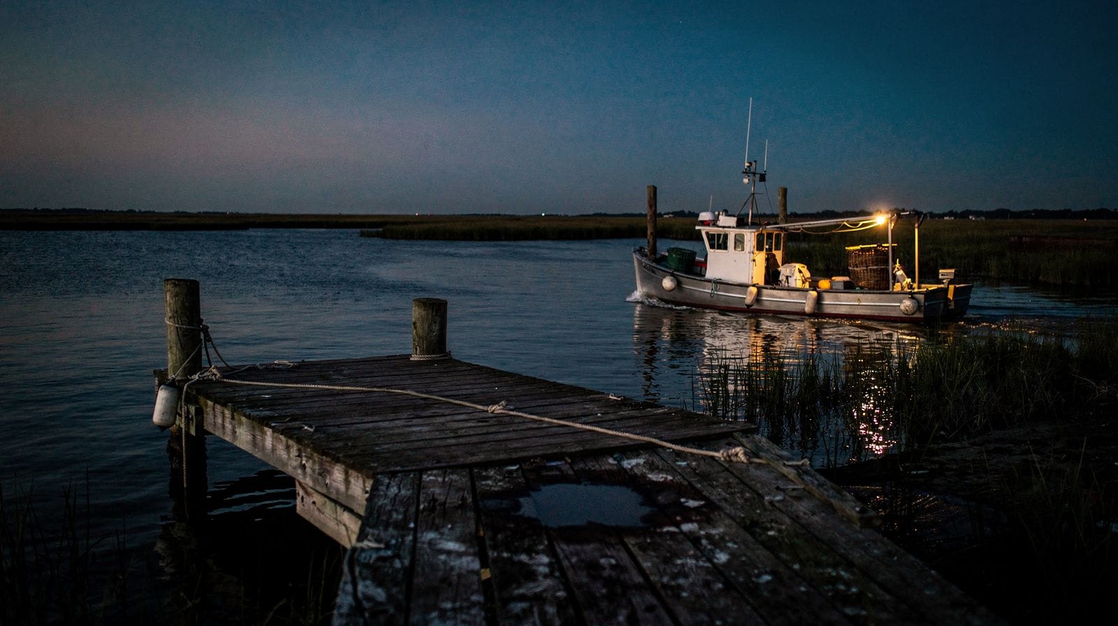 Chesapeake Bay Day Trip from Washington, D.C.