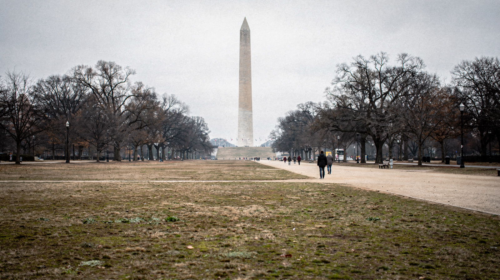 Free Things to Do in Washington, D.C.