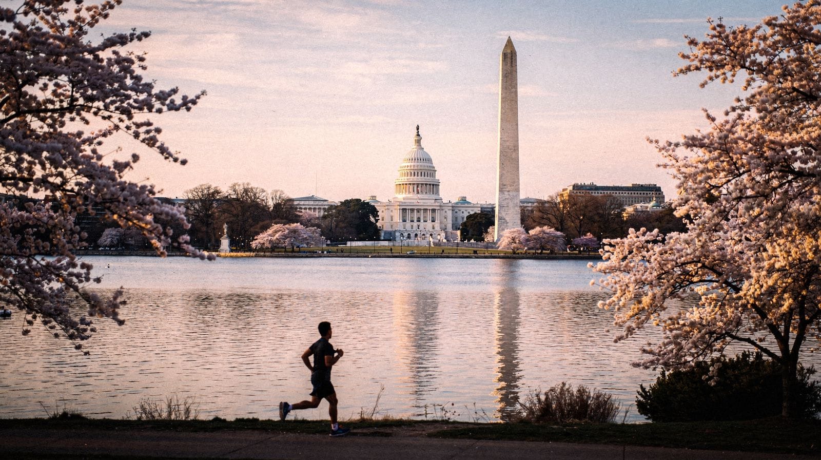 Washington, D.C. for First-Time Visitors: The Essential Orientation