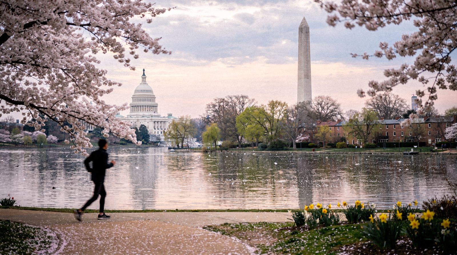 Washington DC in Spring: A Season-by-Season Guide