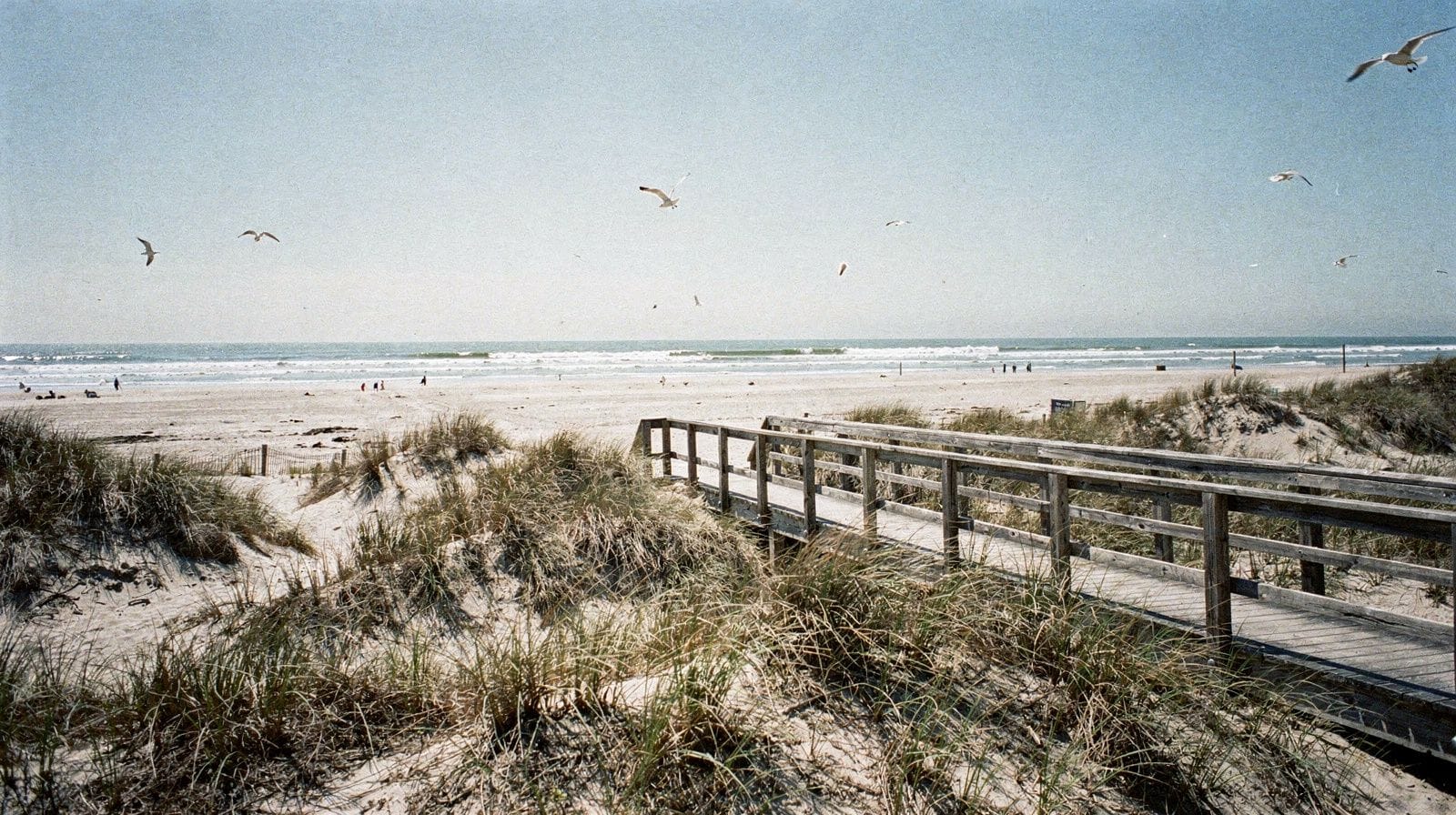 Atlantic Coast in Four Days: Norfolk, Virginia Beach & Ocean City