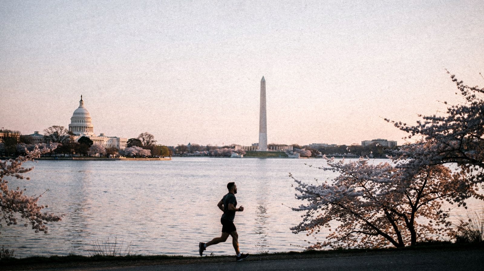 Five Days: DC Plus Annapolis and Baltimore