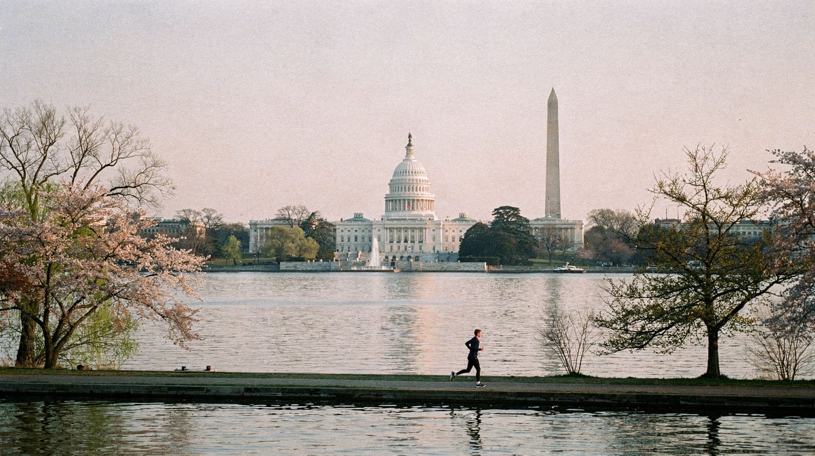 One Day in Washington, D.C.: The Essentials on Foot